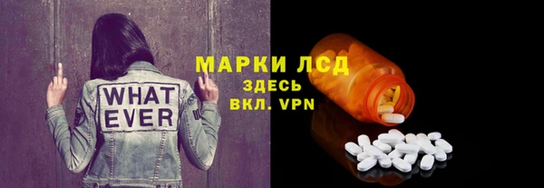 соль ск Кулебаки