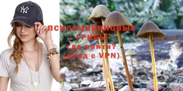 прущие крисы Кукмор