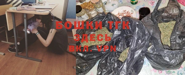 соль ск Кулебаки