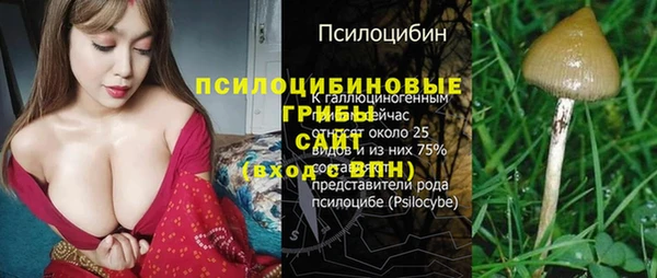 соль ск Кулебаки