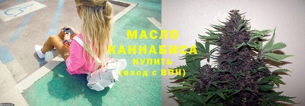 соль ск Кулебаки