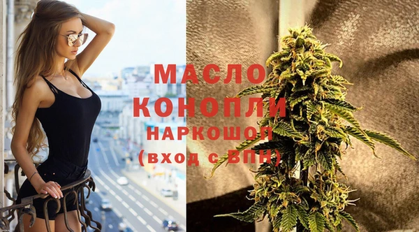 соль ск Кулебаки