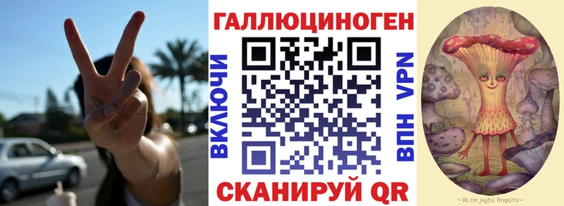 наркошоп  Нефтекумск  Псилоцибиновые грибы GOLDEN TEACHER 