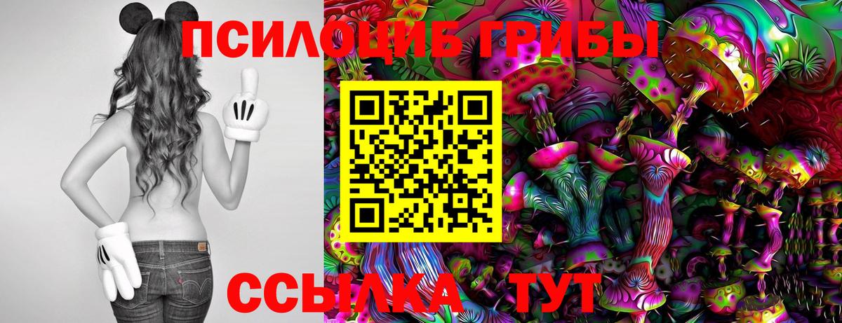 Псилоцибиновые грибы Psilocybine cubensis Нефтекумск