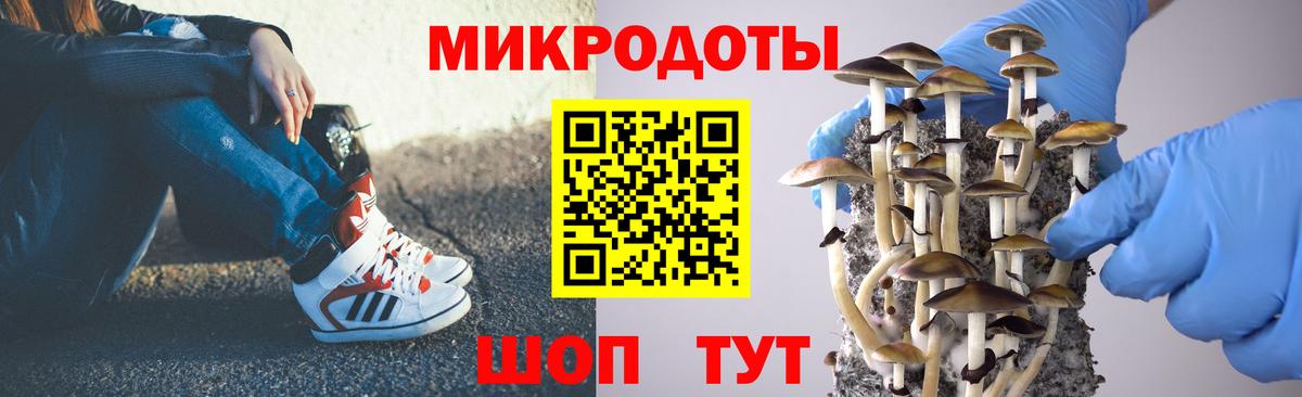 Галлюциногенные грибы мицелий  как найти   Нефтекумск 